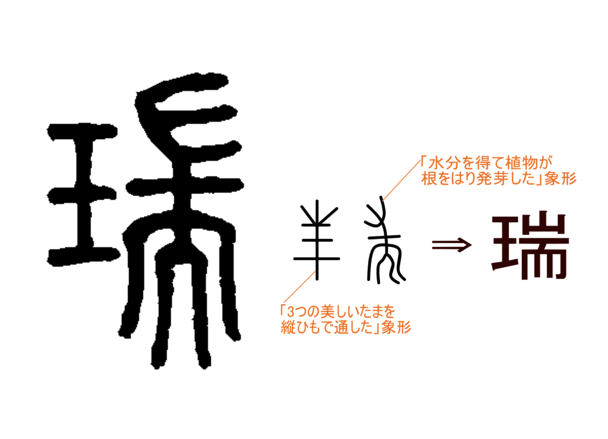 瑞枝 みずえ の由来について 医療法人瑞枝 みずえ 会クリニック 京都市中京区丸太町のうつ病 精神科医